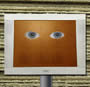 monitor eyes