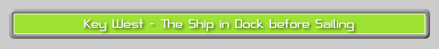 Cruise 28 text image