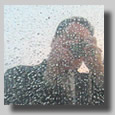 Dennis and Ruthie taking a picture on a cool rainy reflective surface on deck 10.