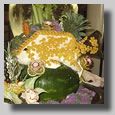 A fish made all out of food!